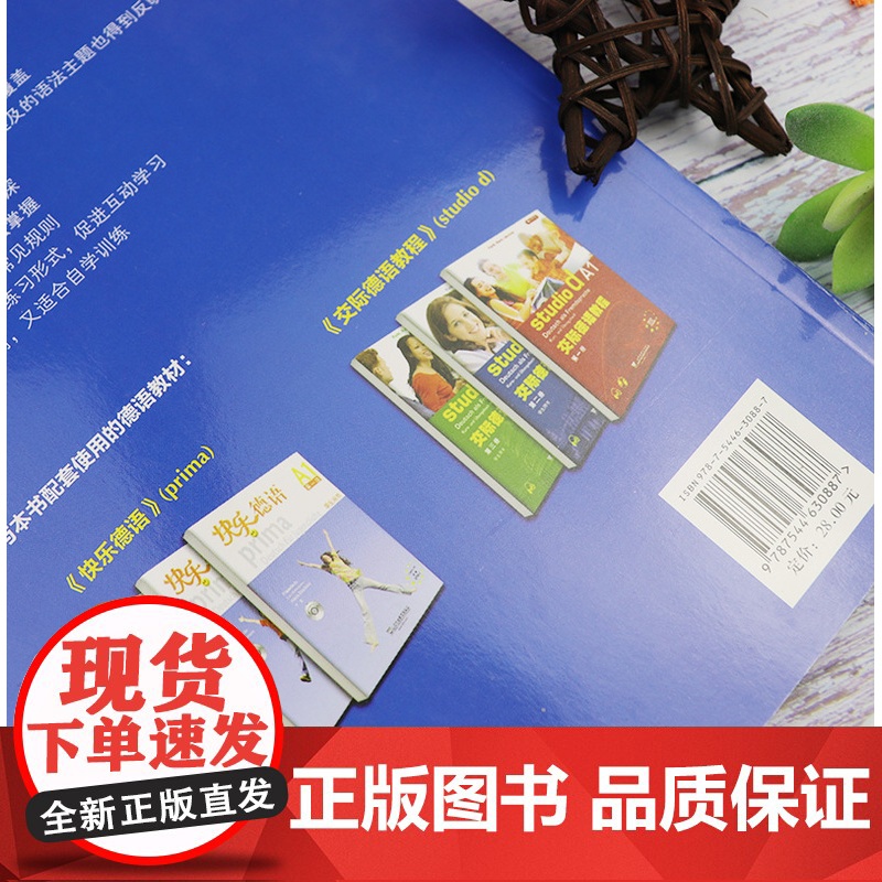 正版 德语基础语法轻松练a1/a2 德语德福A1/A2考试德语语法测试训练练习册习题集德语自学入门教材书籍德语教材上海外高清大图