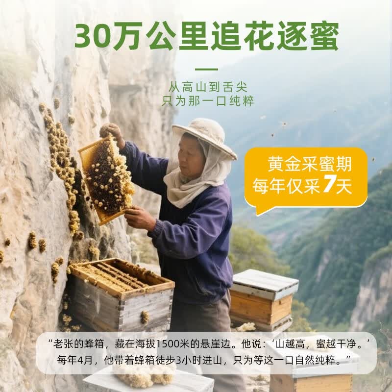 汪氏*高山槐花蜜450g高清大图