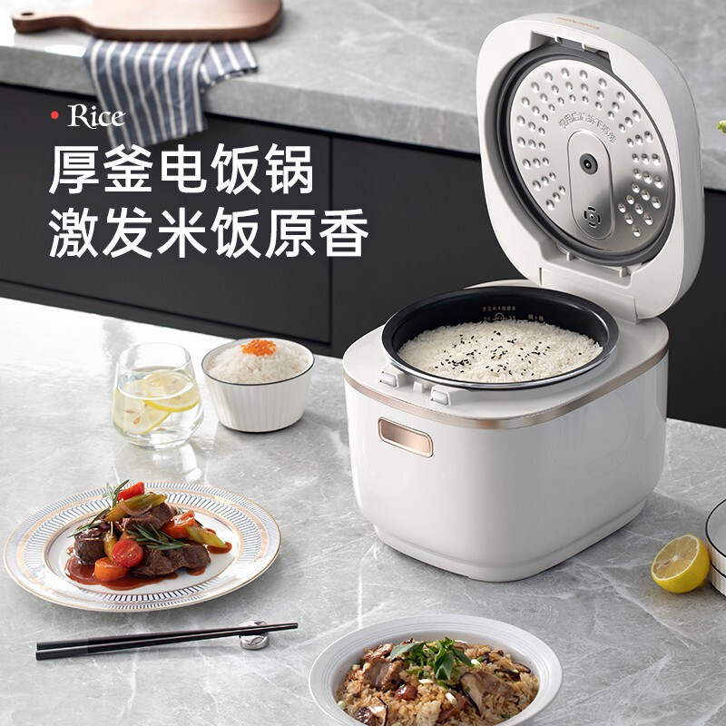 摩飞多功能电饭煲MR8500白