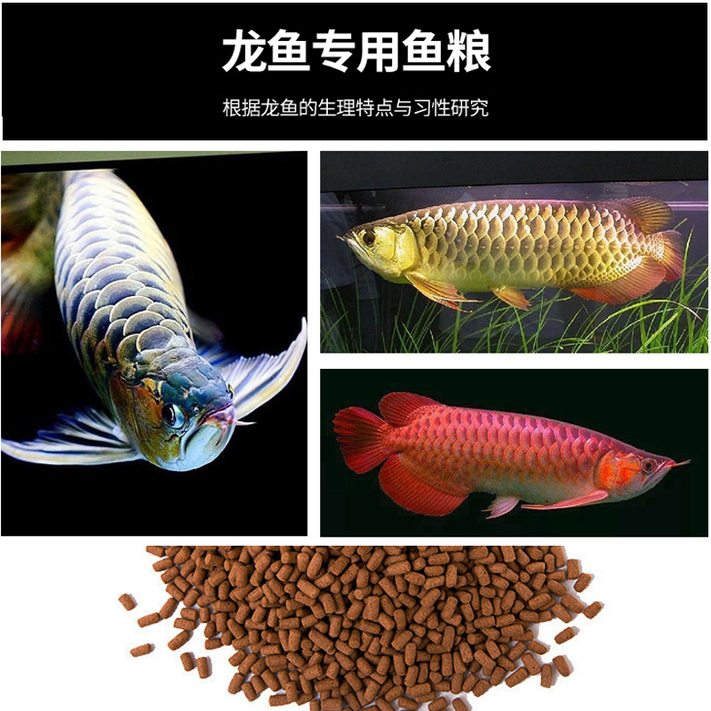 珍艳龙鱼饲料金银龙鱼专用鱼食熟化上浮颗粒虾粉鱼粉配合饲料高清大图