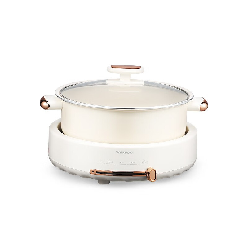 大宇(DAEWOO)家用分体式 电火锅 电煮锅宿舍学生电热火锅DYHG-505 (彩邮外)!