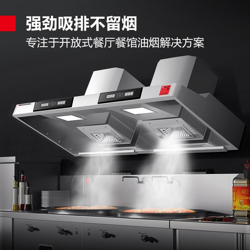 德玛仕(DEMASHI)油烟净化一体机商用 不锈钢烟罩抽油烟机低空油烟净化器 双头CXW-DS200