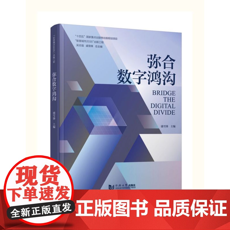 弥合数字鸿沟 盛雪锋 同济大学出版社高清大图