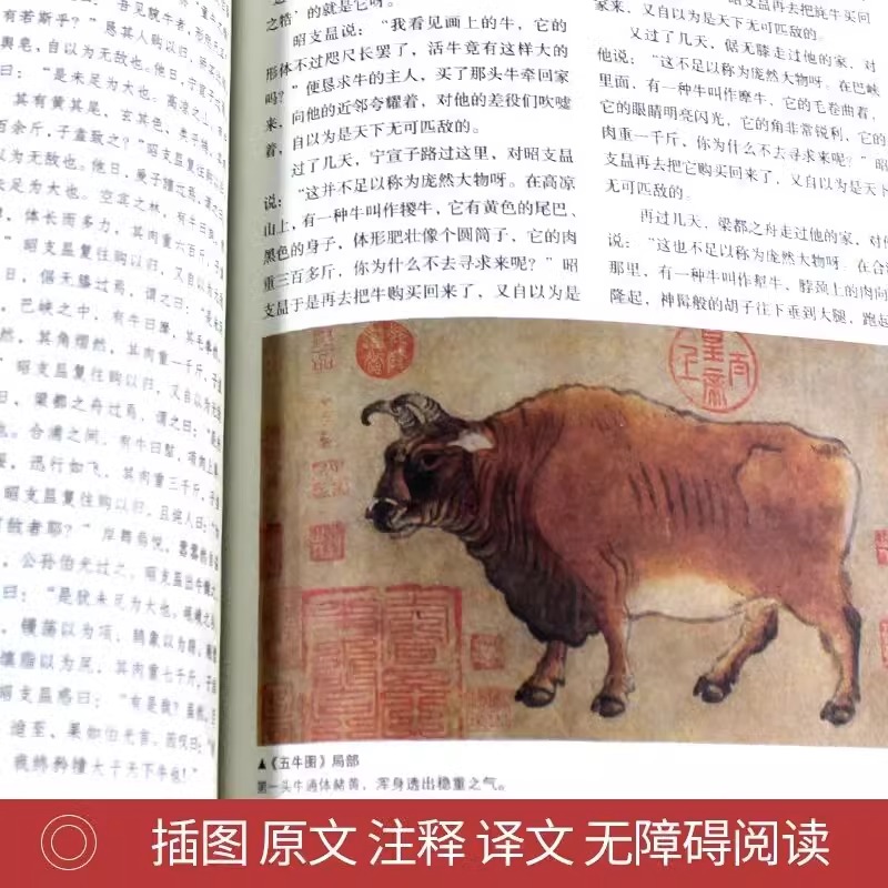 [正版]中华典故5册书籍全彩珍藏版 五千年文化智慧结晶 浓缩的历史 语言的精华 国学典藏中国文化概论故事中国文化精神高清大图