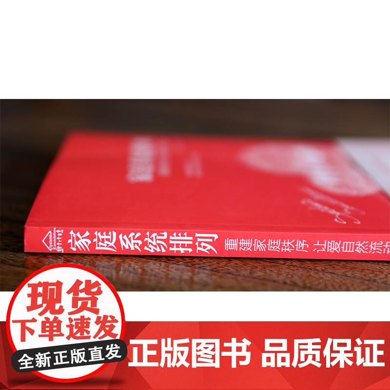 家庭系统排列重建家庭秩序 让爱自然流动 家庭常见矛盾处理方法大全 家庭关系管理书籍 夫妻 亲子关系处理技巧书籍 社会心理高清大图