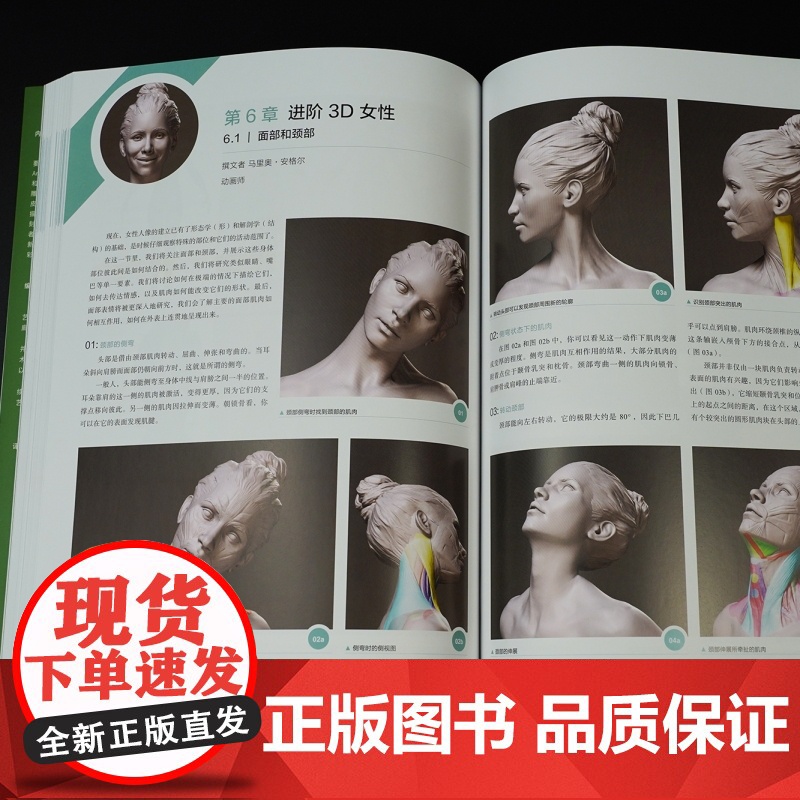 3D艺用人体解剖学 600幅模型建构分解图 从2D到3D满足各领域艺术家的创作需求 数字雕刻人体艺术书籍 后浪正版高清大图