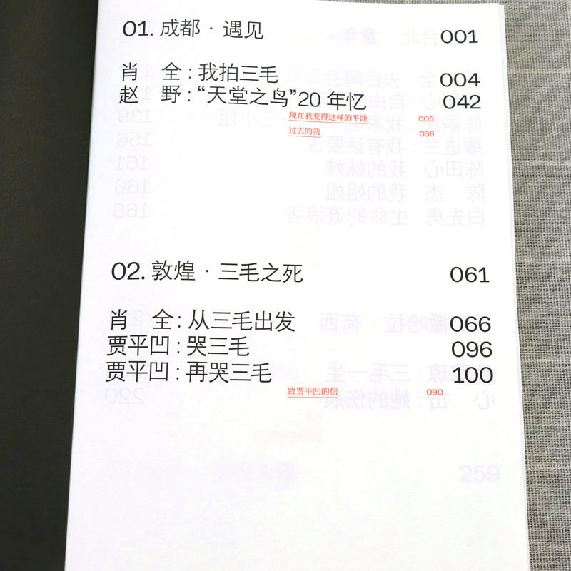 [正版]ECHO:永远的三毛 三毛摄影纪实回忆录书籍高清大图