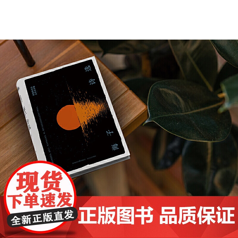 海子诗选 精装典藏版 海子 人天兀鲁思 太白文艺出版社 正版书籍高清大图