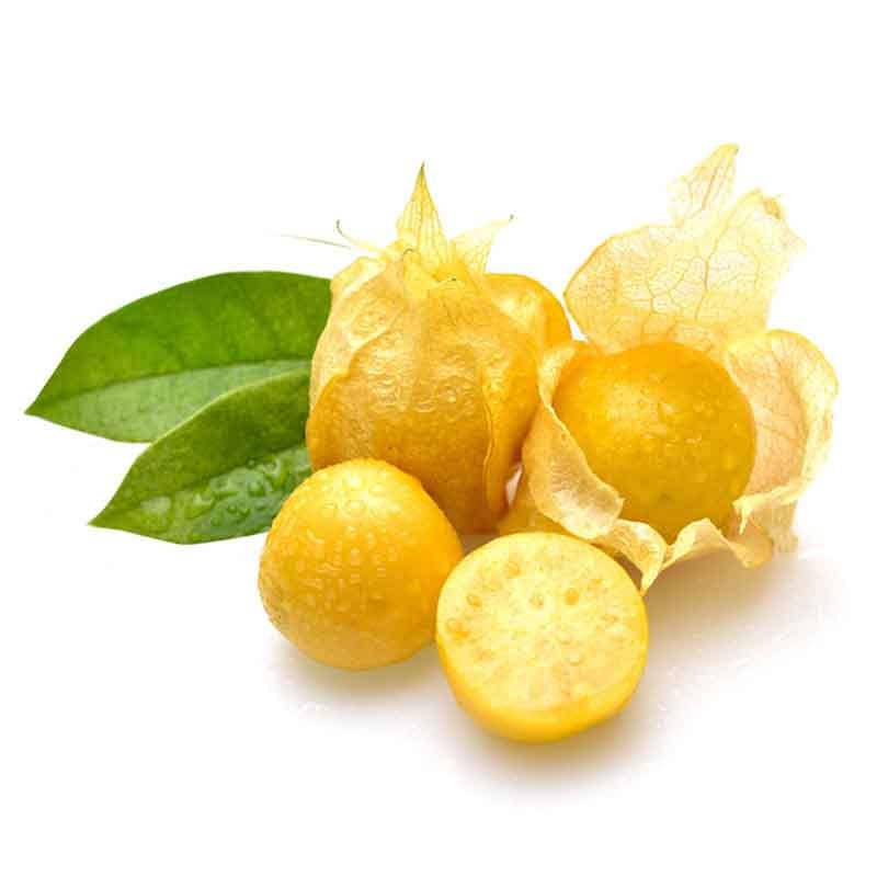 新鲜姑娘果 东北特产 菇娘果 灯笼果 2斤新鲜水果