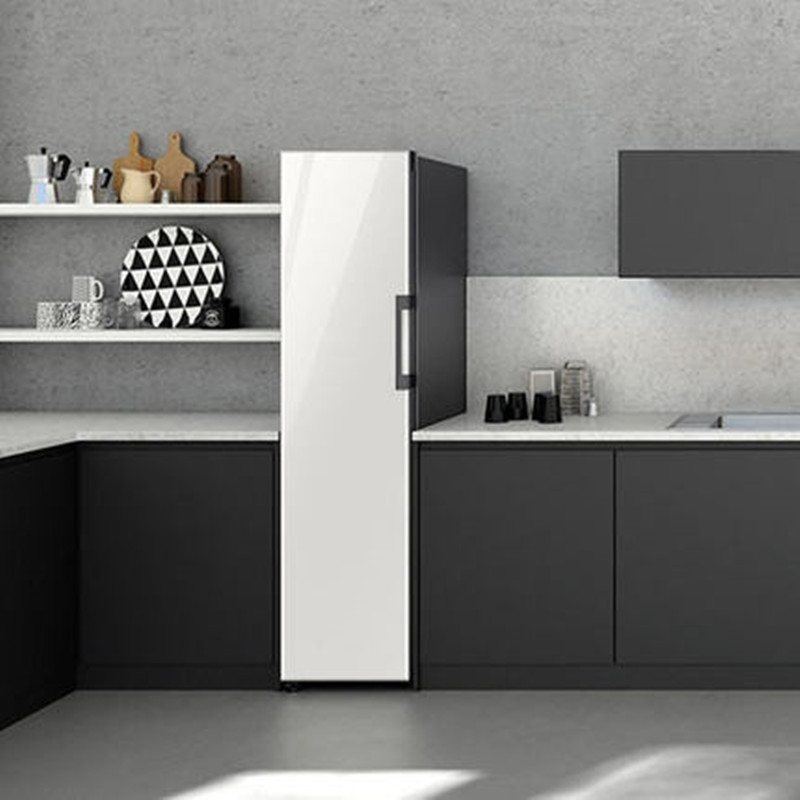 三星(SAMSUNG)单门冰箱高清大图