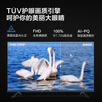 海信Vidda 43英寸 全高清 全面屏电视 1G+8G 教育电视 43V1F-R 网络液晶平板电视