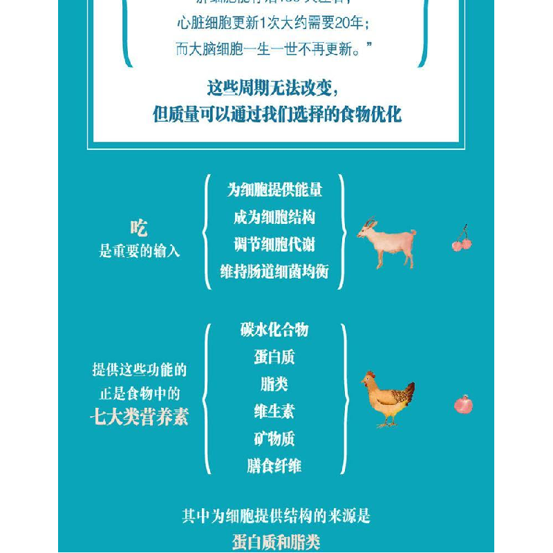 正版新书]你是你吃出来的夏萌9787539060453高清大图