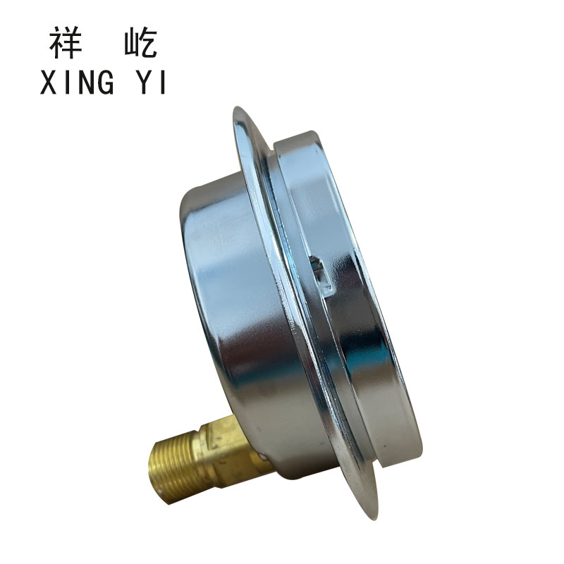 祥屹 耐震压力表轴向带边 YTN100ZT 块高清大图