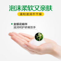 滴露泡沫免洗抑菌洗手液花香型50ml金银花香型 无酒精