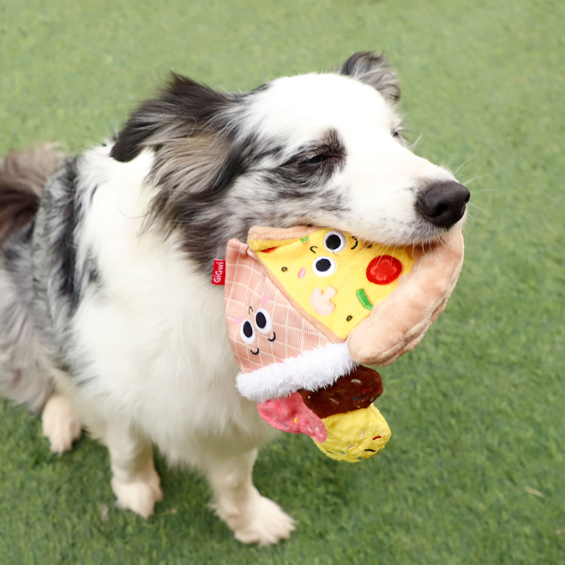 gigwi贵为狗狗玩具磨牙耐咬响纸发声嗅闻藏食小狗小型犬宠物玩具