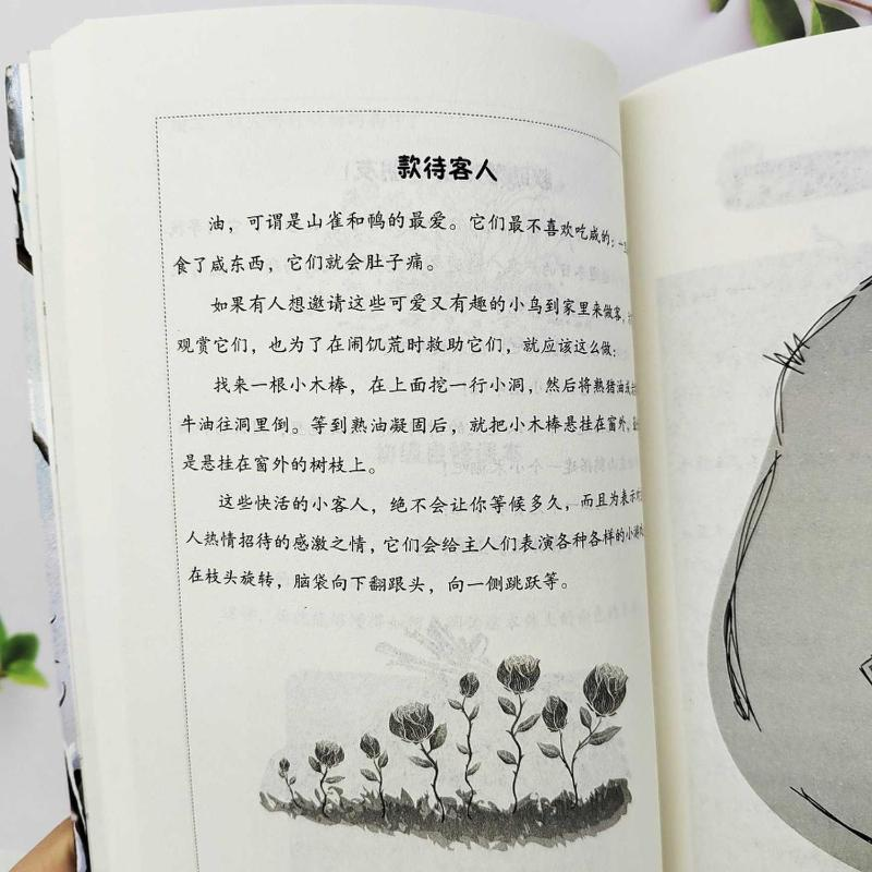 醉染图书森林报 冬9787550246089高清大图
