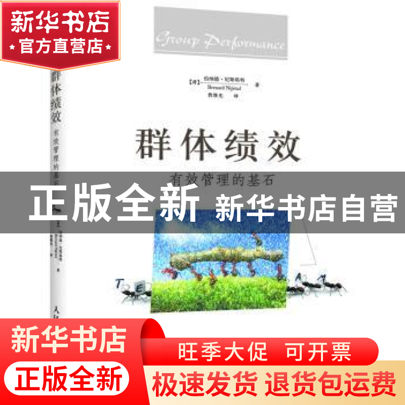 正版 群体绩效:有效管理的基石 [荷]伯纳德·尼斯塔特 人民邮电出高清大图
