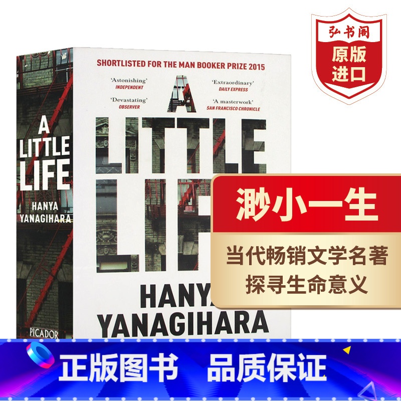 【正版】渺小一生 英文原版 A Little Life 小生活 柳原汉雅 当代文学名著 课外阅读 搭相约星期二 追风筝