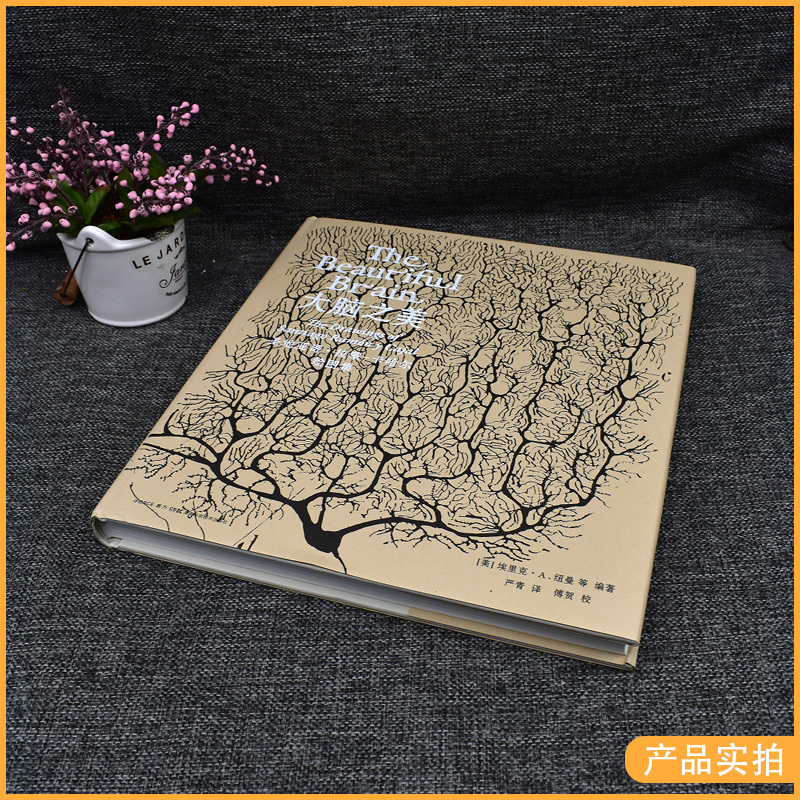 [正版]中文版大脑之美:圣地亚哥·拉蒙-卡哈尔绘图集现代神经学之父的传世之作湖南科学技术出版社