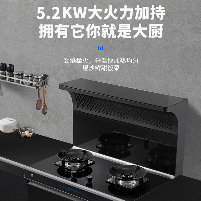 容声(RONGSHENG) 集成灶WE2111X