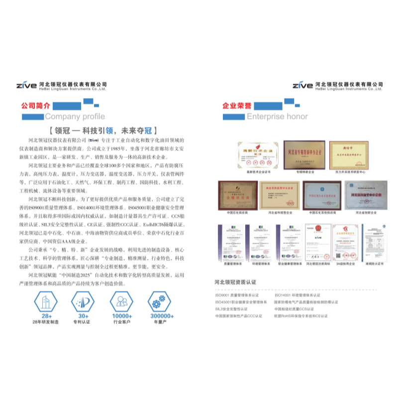 ZIVE 膜片压力表ZIVE-1306468高清大图