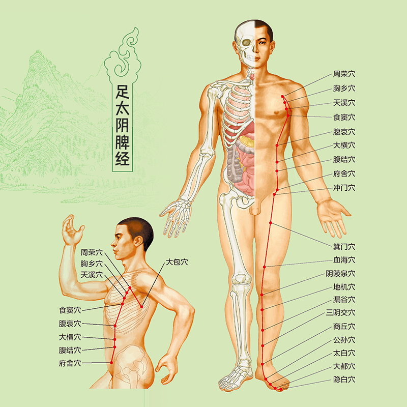 黄帝内经脾胃好病不找 [正版]黄帝内经脾胃好病不找 有声版杨秀岩脾胃中医调理调养健脾健胃养生保健黄帝内经养生中医精华调养高清大图