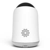 联想(Lenovo) 看家宝R1 英文版 360°全景云台1080P网络wifi家用监控红外夜视双向通话 32G套装