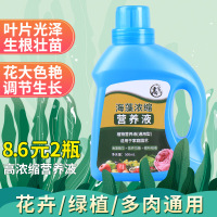 高宅 海藻营养液 养花肥料家用通用型盆栽植物绿萝兰花多肉水培花卉