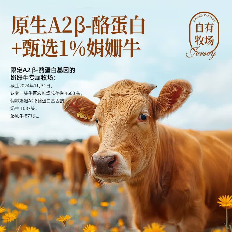 认养一头牛[娟姗4.0g蛋白质]纯牛奶A2β-酪蛋白250ml*10盒整箱高清大图