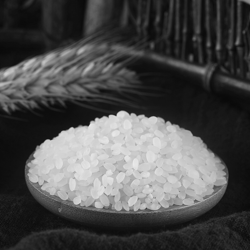 杂良说 袁隆平大米 辽河基地大米5kg 东北辽河大米10斤装 (计价单位:袋)