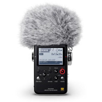SONY索尼数码录音棒PCM-D100 数码录音棒/录音笔 专业DSD录音格式 支持无损音乐播放 黑色 32G 旗舰机型