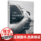 大地上我们转瞬即逝的绚烂(2019年国际文坛屠榜之作,34国读者高分,《无声告白》作者伍绮诗感动)