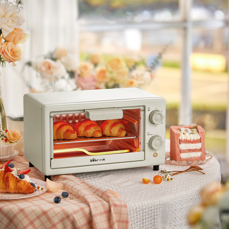 小熊(Bear)DKX-F10Q8 机械一体控温