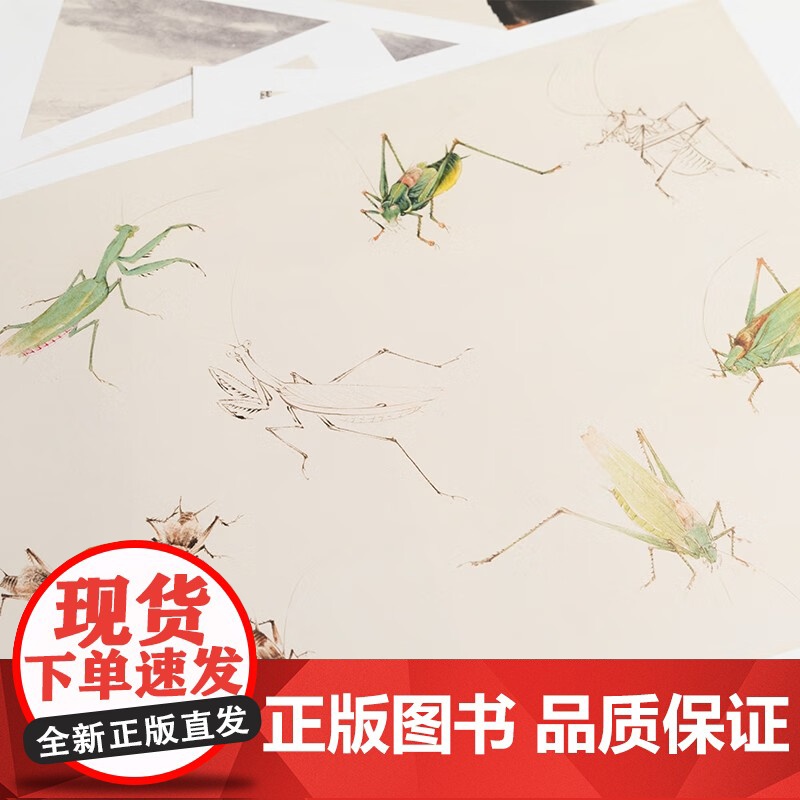 花鸟画谱 禽鸟草虫 上海中国画院 编 绘画高清大图