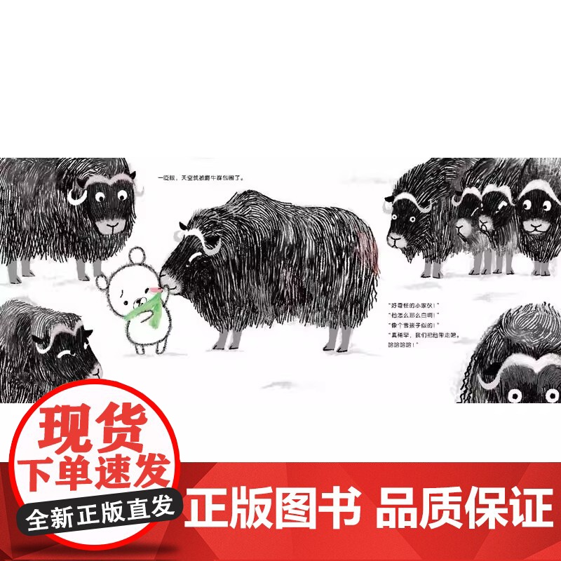 天空小熊第一次探险精装硬壳绘本图画书引导孩子从小学会尊重生命 保护环境青豆书坊正版童书高清大图