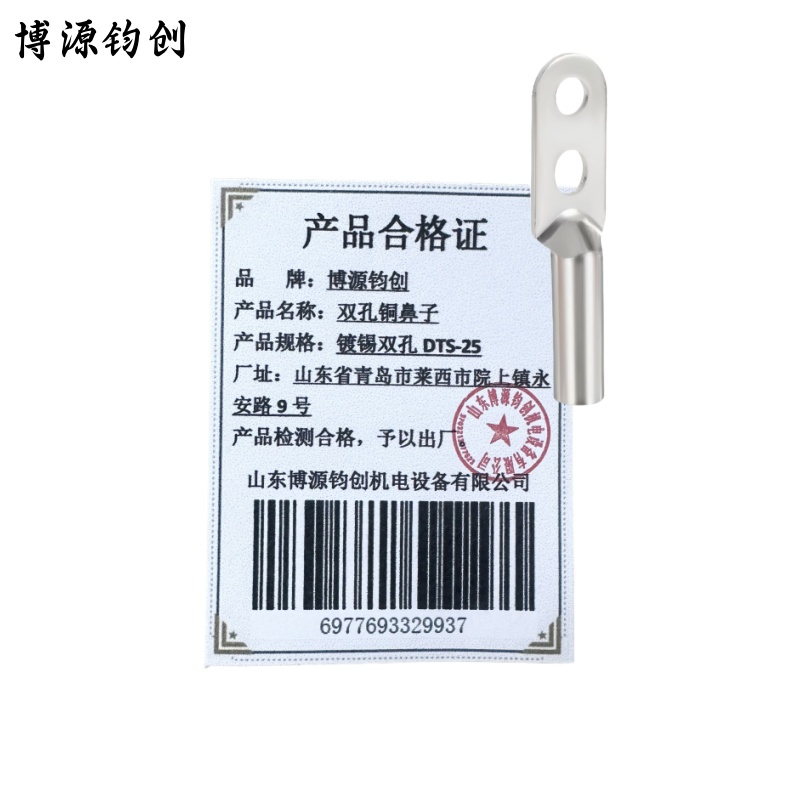 博源钧创 双孔铜鼻子 镀锡双孔DTS-25 个高清大图