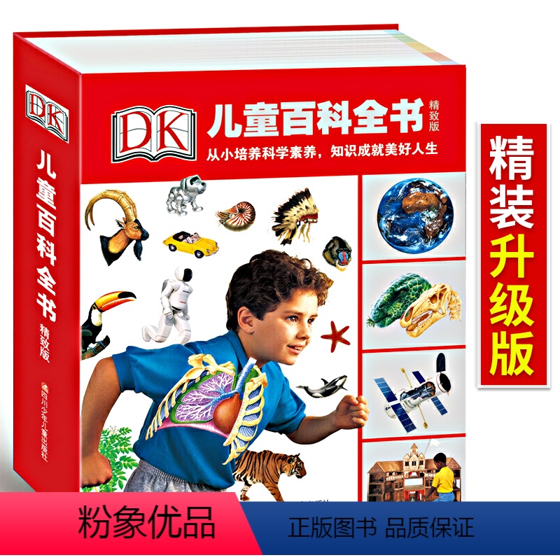 DK儿童百科全书 [正版]DK动物百科全书昆虫漫画大图鉴超清放大图片观察虫子王国世界历险记故事书6岁以上小学生科普类书籍