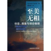 至美无相创造想象与理论物理 (意)维尼亚勒 著作 曹则贤 译者 生活 文轩网