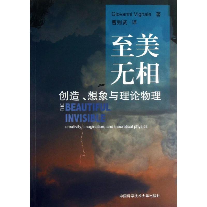 至美无相创造想象与理论物理 (意)维尼亚勒 著作 曹则贤 译者 生活 文轩网