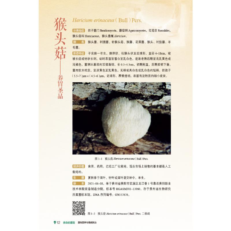 醉染图书救命的蘑菇 菌物营养与慢病防治9787521432596高清大图