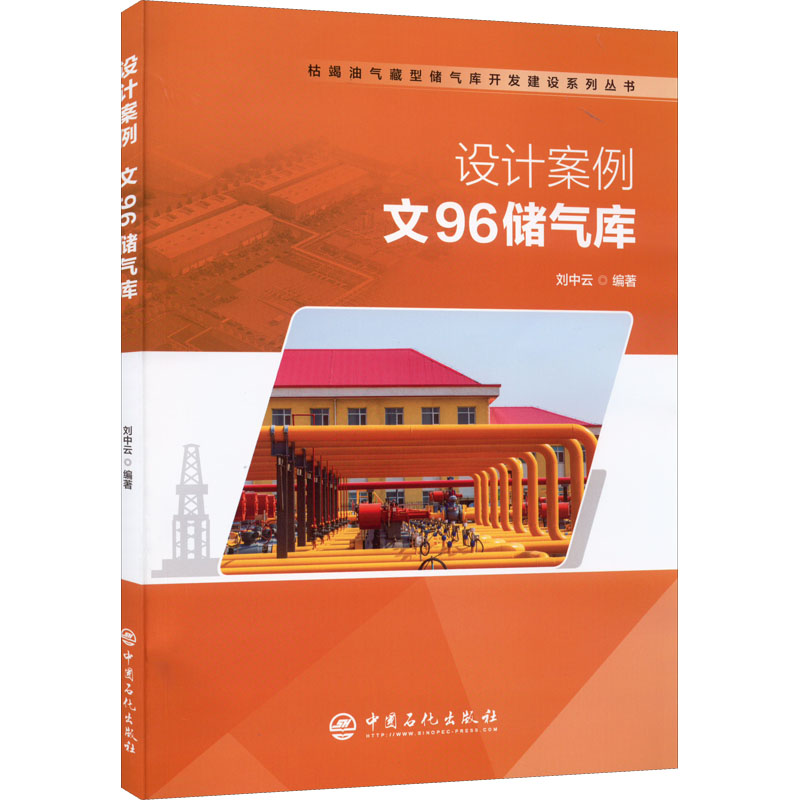 音像设计案例:文96储气库刘中云 编著