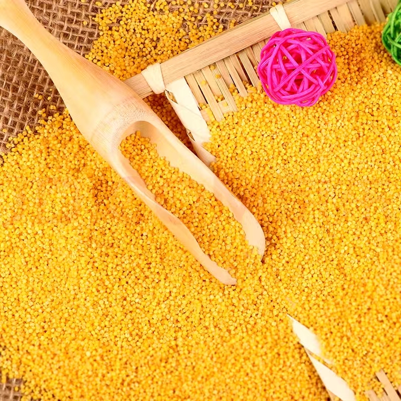 天地粮人 东北红谷子小米袋装 350g*5包(单位:袋)高清大图