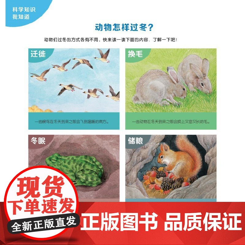 探索吧!科学!——幼儿科学启蒙经典绘本 冬天的小鱼(关于动物的过冬方式)高清大图