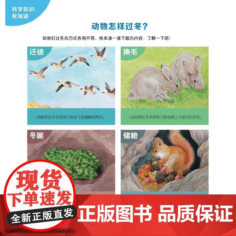 探索吧!科学!——幼儿科学启蒙经典绘本 冬天的小鱼(关于动物的过冬方式)图片