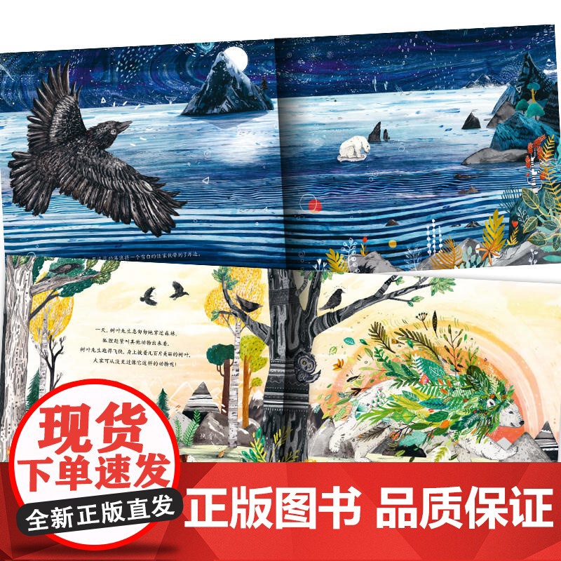 正版童书 海豚绘本花园 科普绘本 回家 点读版 给孩子的艺术启蒙 生命教育与环保启蒙绘本高清大图