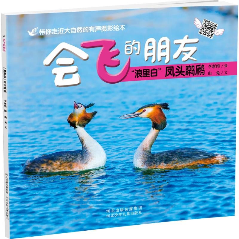 醉染图书“浪里白”凤头鸊鷉9787537665681高清大图