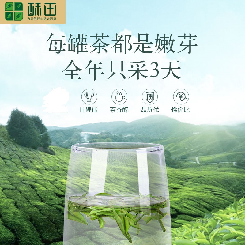 酥田(SUTIAN)明前新茶上市安吉白茶绿茶茶叶明前精品头采白茶50g/罐高清大图