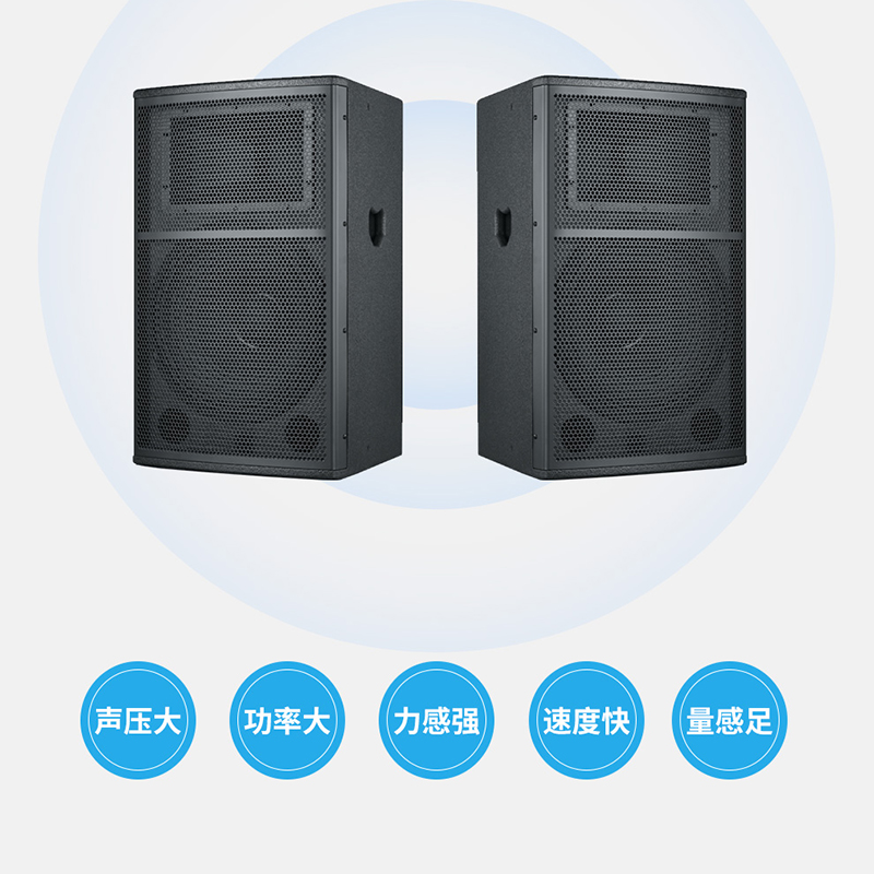 润普RP-HYX604 国产化 音视频会议室展厅教室礼堂报告厅15英寸号角全频会议音响/喇叭扬声器高清大图
