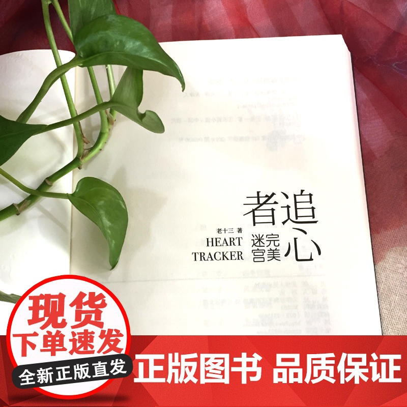 追心者:完美迷宫(悬疑鬼才老十三扛鼎之作) 老十三 天津人民出版社 正版书籍高清大图