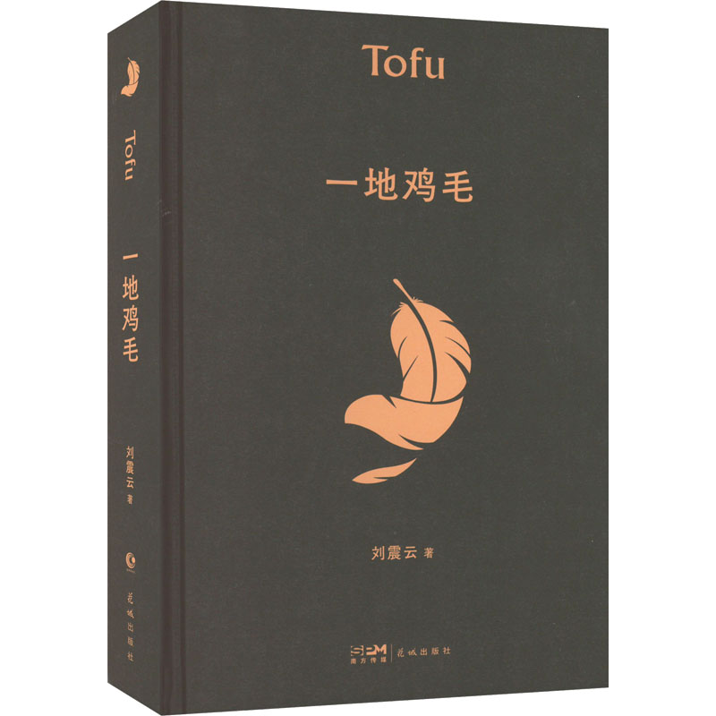 醉染图书一地鸡毛9787536097254高清大图